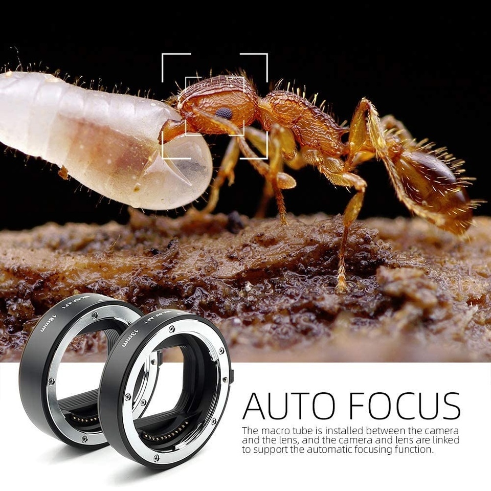 Anillo de extensión macro de e - Canon Camera Eos R50 reseña y precio